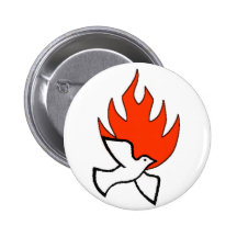 spirit & fire pin