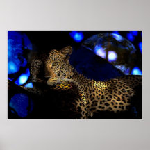 spirit of Africa -Guepard Posters