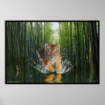 Splashing Tiger Cub & Bamboo Stream Wildlife Art Posters