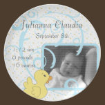 Splish Splash Commemorative Birth Plate plates