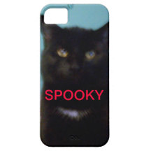 Spooky Black Cat iPhone 5 Covers