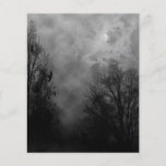 Spooky Halloween Sky with Ravens Flyer