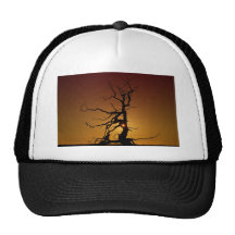 Spooky Tree Hat