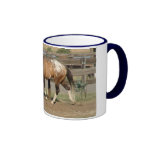 sportaloosa stallion bradford coffee mug