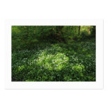 Spot of Garlic (Bordered) Business Card Templates