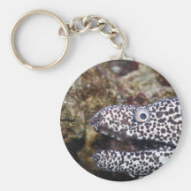 spotted eel right side aquarium animal key chain