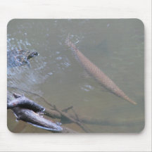 Spotted Gar and Red-eared Slider Mouse Pad