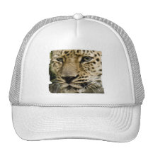Spotted Leopard Baseball Hat