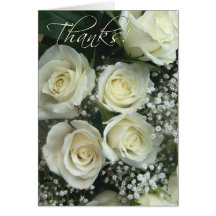 Spray of cream rose Thank you notes! Cards