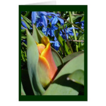 spring awakening card