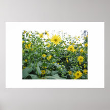 Spring Bee Posters