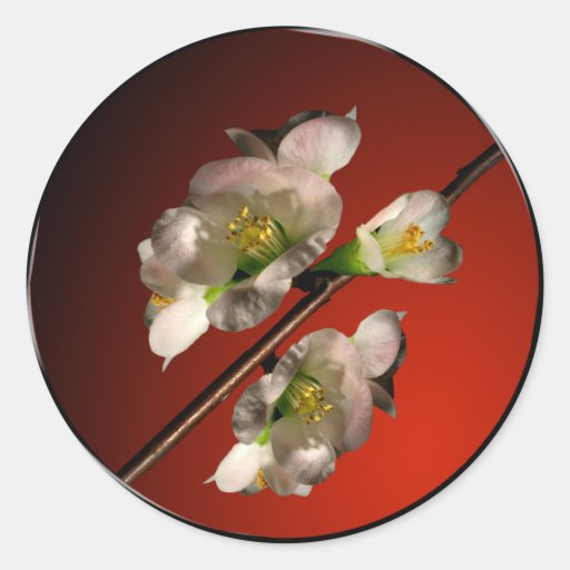 Spring Blossoms Asian Envelope Seal Round Stickers