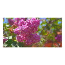 Spring Blossoms Custom Photo Card