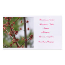 Spring Bud Business Card