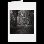 Spring Bute Park, Cardiff, Wales cards