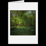Spring Bute Park, Cardiff, Wales cards