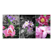 Spring Collage Photocard Custom Photo Card