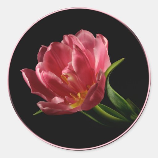 Spring Double Bloom Tulip Envelope Seal Sticker