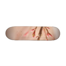 Spring dreams skateboard