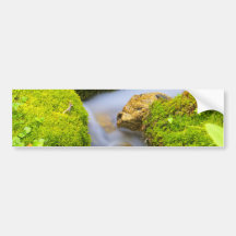 Spring Fed Mountain Stream Bumper Stickers
