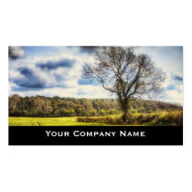 Spring Fields Landscape Business Cards business cards