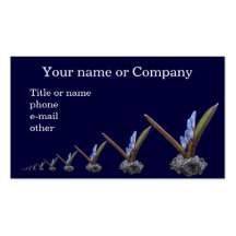 Spring flower ~ biz card business card