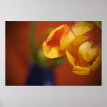Spring Flower Posters