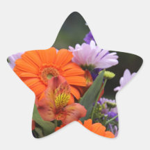 Spring flowers in a vase star stickers