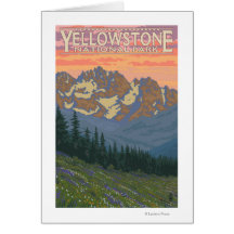 Spring Flowers - Yellowstone National Park Card