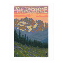 Spring Flowers - Yellowstone National Park Postcard