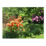 Spring Garden Postcard