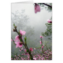 Spring Harmony/ Greetings Card