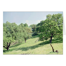 Spring Hillside, San Jose Card