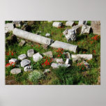 Spring in Rome Poster