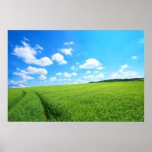 Spring in the fields posters