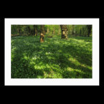 Spring in the Woods (Bordered) business cards