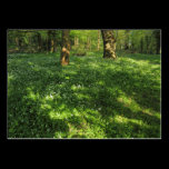 Spring in the Woods business cards