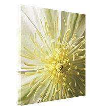 Spring Ivory Floral Detail Canvas Canvas Prints
