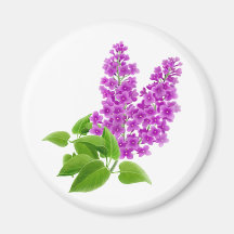 Spring Lilacs Magnet