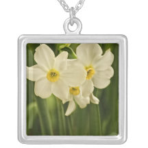 Spring Narcissus (Daffodil) Flower Photograph Jewelry