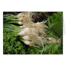 Spring onions and lettuce cards