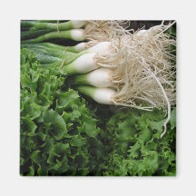 Spring onions and lettuce fridge magnets