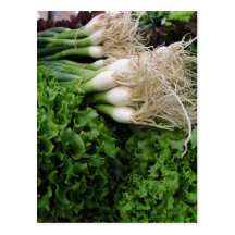 Spring onions and lettuce postcard
