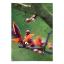 Spring Photo Print