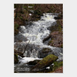 Spring Run-off posters