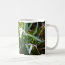 Spring Snowdrop Flowers mugs