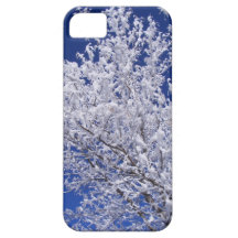 Spring Storm iPhone 5 Case