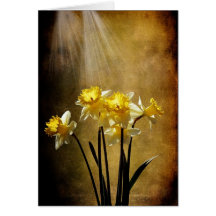 Spring Sun - Greeting Card