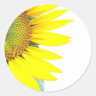 Spring sunflowers round stickers