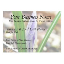 Spring Time!  Crocus Bud Business Card Template